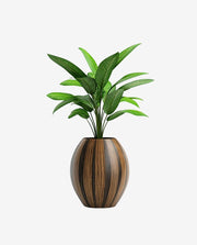 Small Decorative Mini Plant Pot for Home Decor