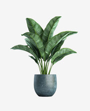 Small Decorative Mini Plant Pot for Home Decor