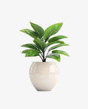 Durable Plastic Fiber Plant Pot for Indoor Decor