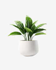 Solid Wood Plant Stand for Indoor Pot Display