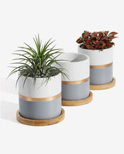 Mini Ceramic Flower Pot for Succulent Display