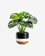 Solid Wood Plant Stand for Indoor Pot Display